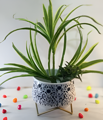 Wide Printed Metal Planter with Gold Cross Stand