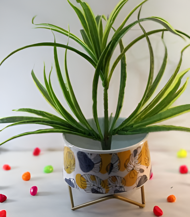 Wide Printed Metal Planter with Gold Cross Stand