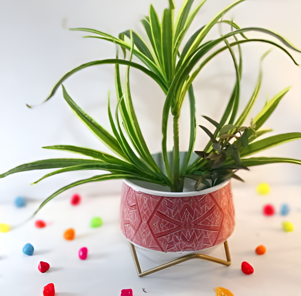Wide Printed Metal Planter with Gold Cross Stand
