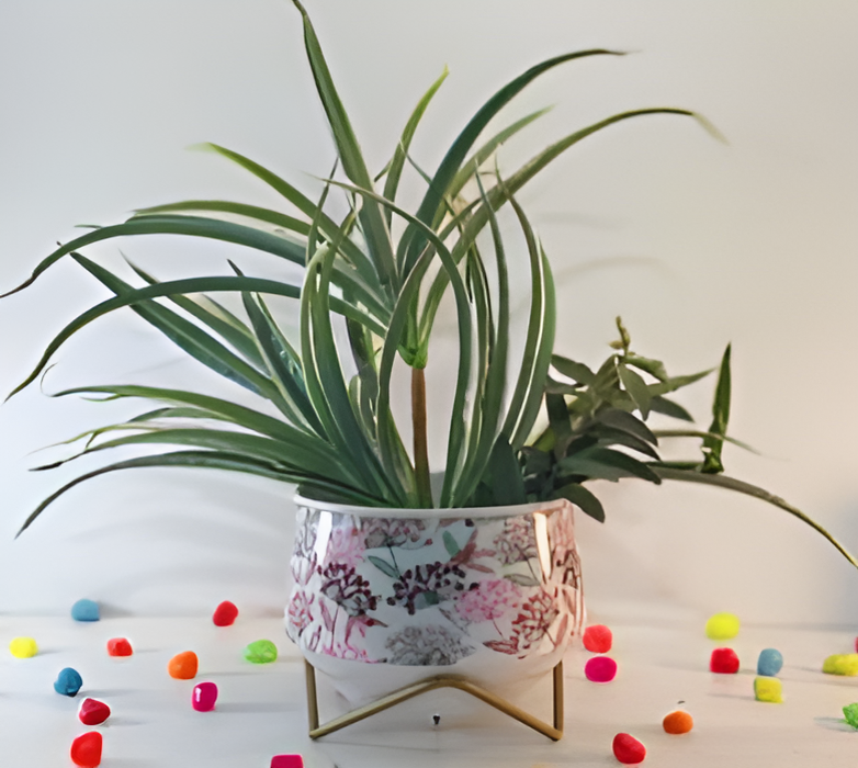 Wide Printed Metal Planter with Gold Cross Stand