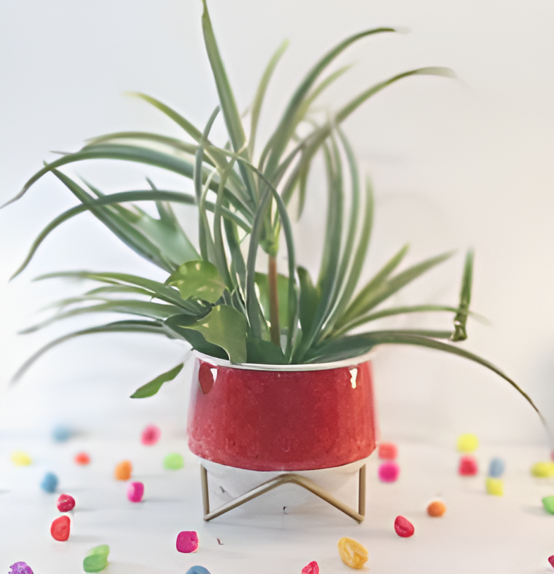 Wide Printed Metal Planter with Gold Cross Stand