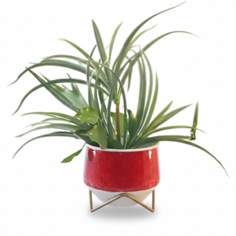 Wide Printed Metal Planter with Gold Cross Stand