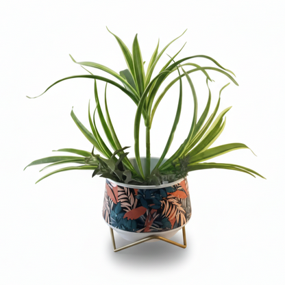 Wide Printed Metal Planter with Gold Cross Stand