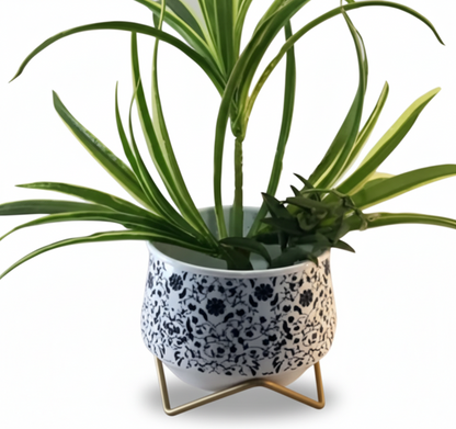 Wide Printed Metal Planter with Gold Cross Stand