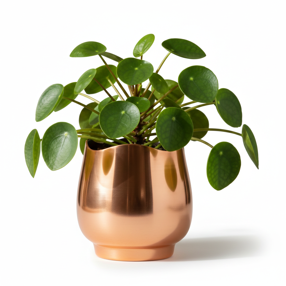 Mini Bulb-Shaped Metal Planter – Smooth Gloss Finish