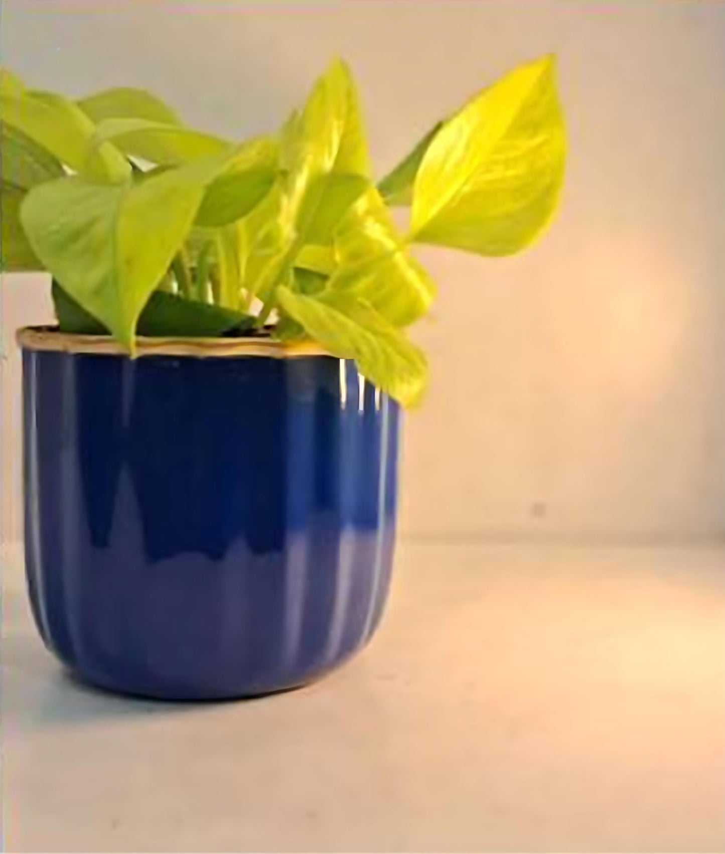 Compact Round Metal Planter – Smooth Gloss Finish