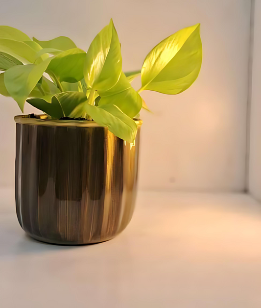 Compact Round Metal Planter – Smooth Gloss Finish