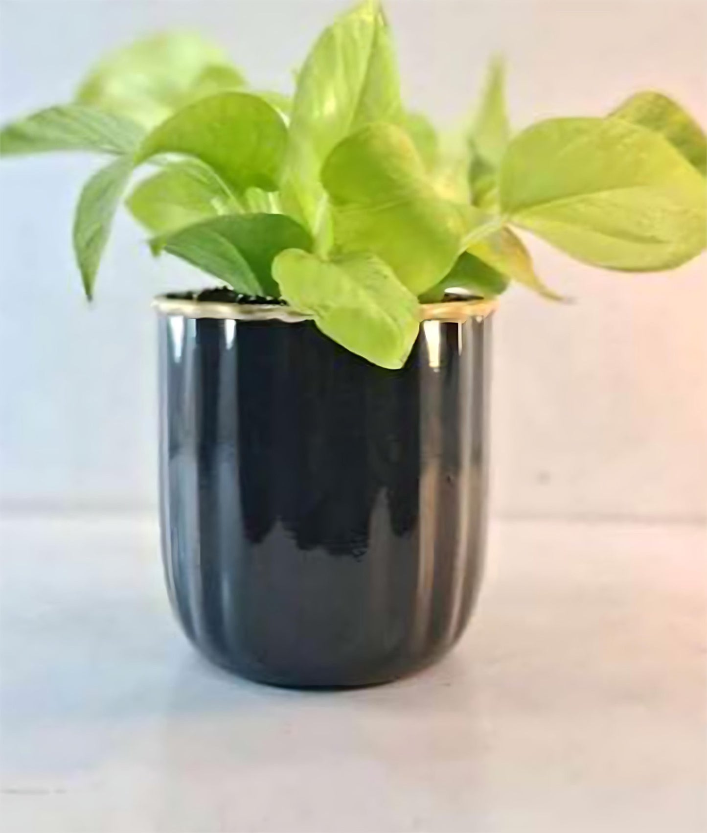 Compact Round Metal Planter – Smooth Gloss Finish