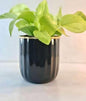 Compact Round Metal Planter – Smooth Gloss Finish