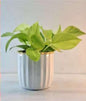 Compact Round Metal Planter – Smooth Gloss Finish