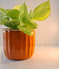 Compact Round Metal Planter – Smooth Gloss Finish