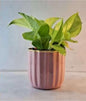 Compact Round Metal Planter – Smooth Gloss Finish