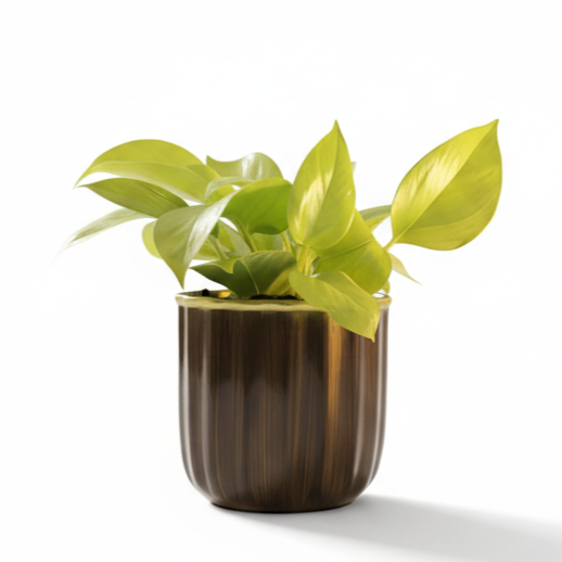 Compact Round Metal Planter – Smooth Gloss Finish