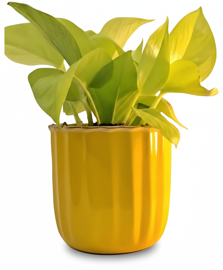 Compact Round Metal Planter – Smooth Gloss Finish
