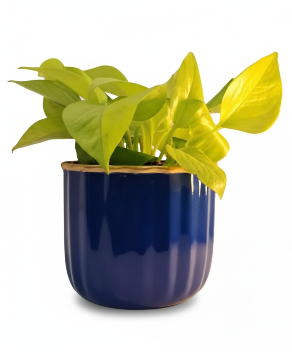 Compact Round Metal Planter – Smooth Gloss Finish