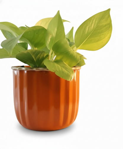 Compact Round Metal Planter – Smooth Gloss Finish