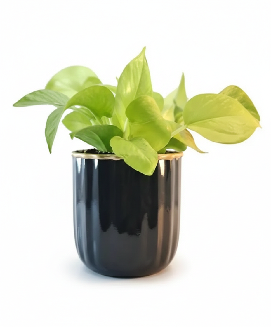 Compact Round Metal Planter – Smooth Gloss Finish