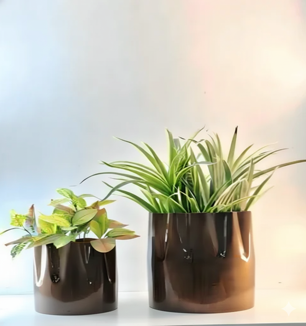 Two potted plants in brown pots on a light background