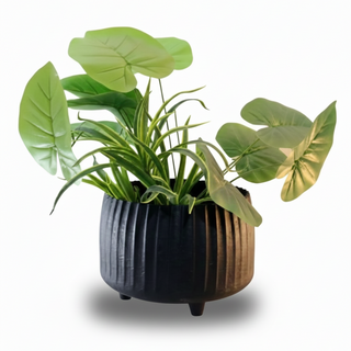 Wide Ribbed Metal Planter with Raised Base – Oval Shape