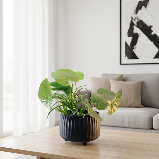 Potted plant on a wooden coffee table in a living room with a sofa and framed picture in the background.