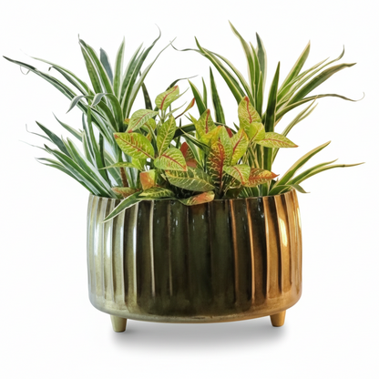 Wide Ribbed Metal Planter with Raised Base – Oval Shape