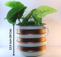 Bronze Concentric Band Pot – 13 Inch – Modern Decorative Planter