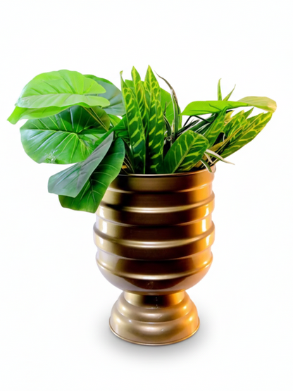 Ecliptic Banded 13 Inch Pedestal Table Planter