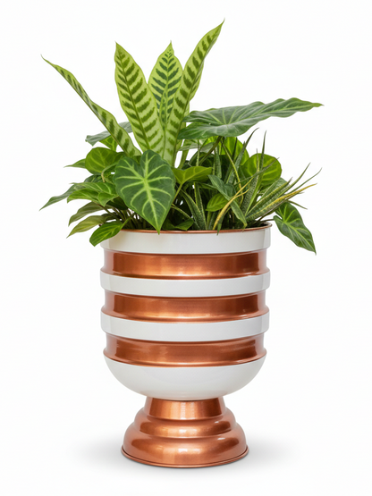 Ecliptic Banded 13 Inch Pedestal Table Planter