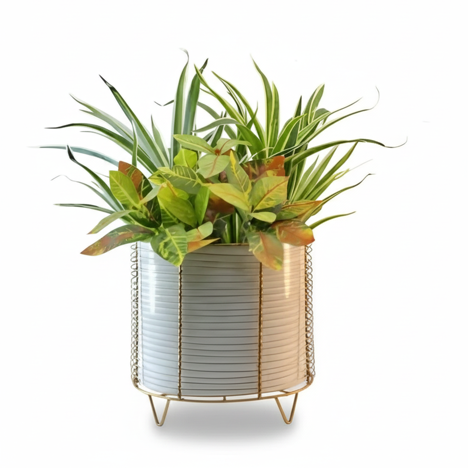 Decorative planter with plants on a white background