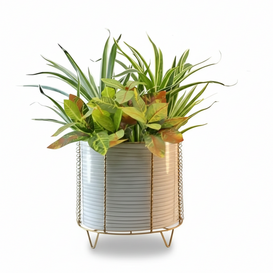 Decorative planter with plants on a white background