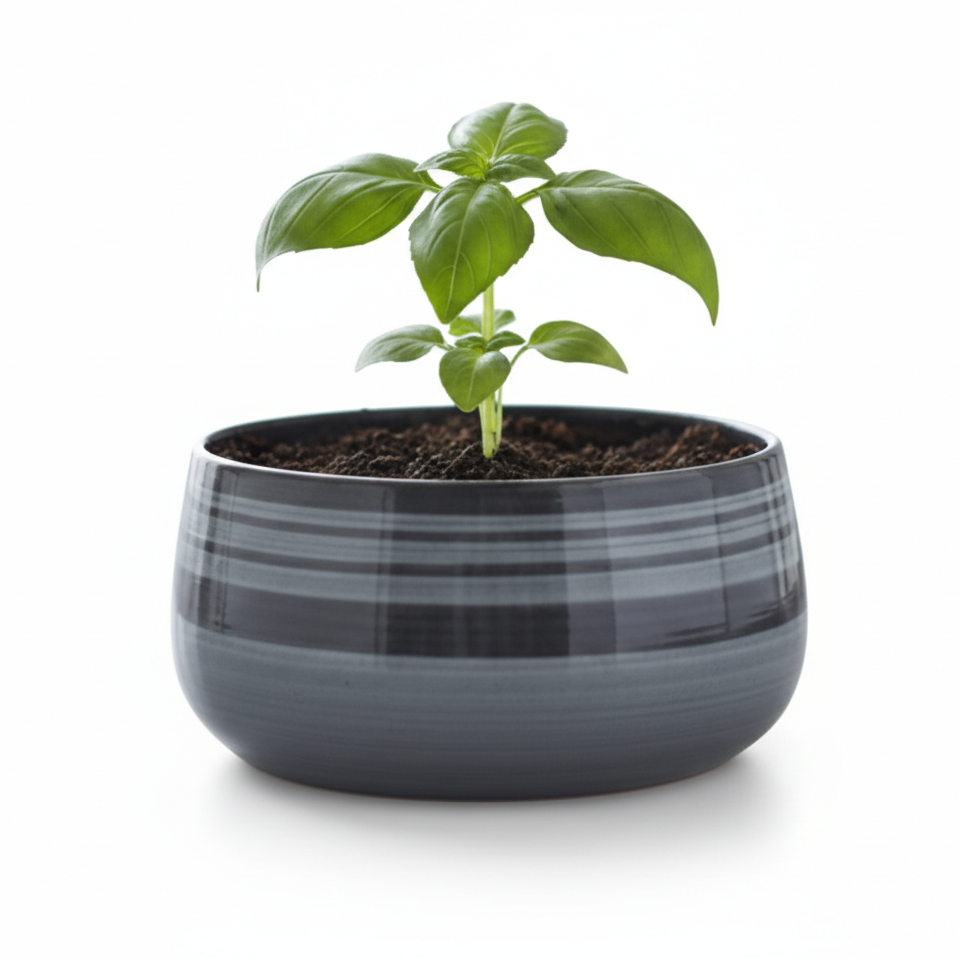 Wide Rim Round Stone-Finish Pot