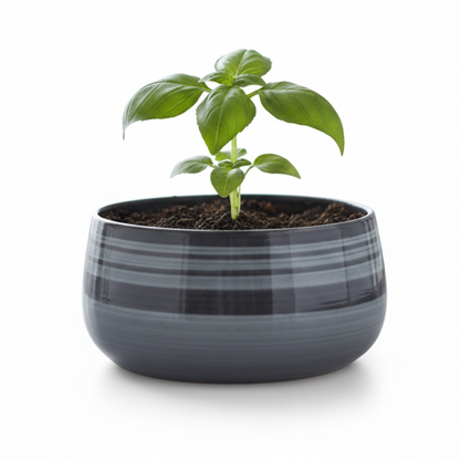 Wide Rim Round Stone-Finish Pot