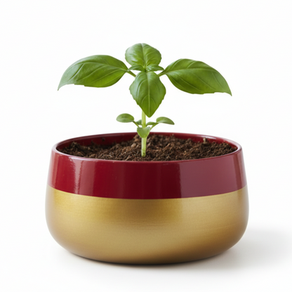 Wide Rim Round Stone-Finish Pot