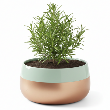 Wide Rim Round Stone-Finish Pot