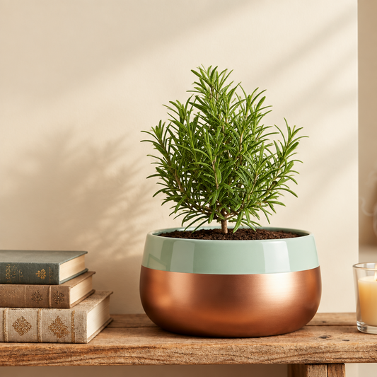 Wide Rim Round Stone-Finish Pot