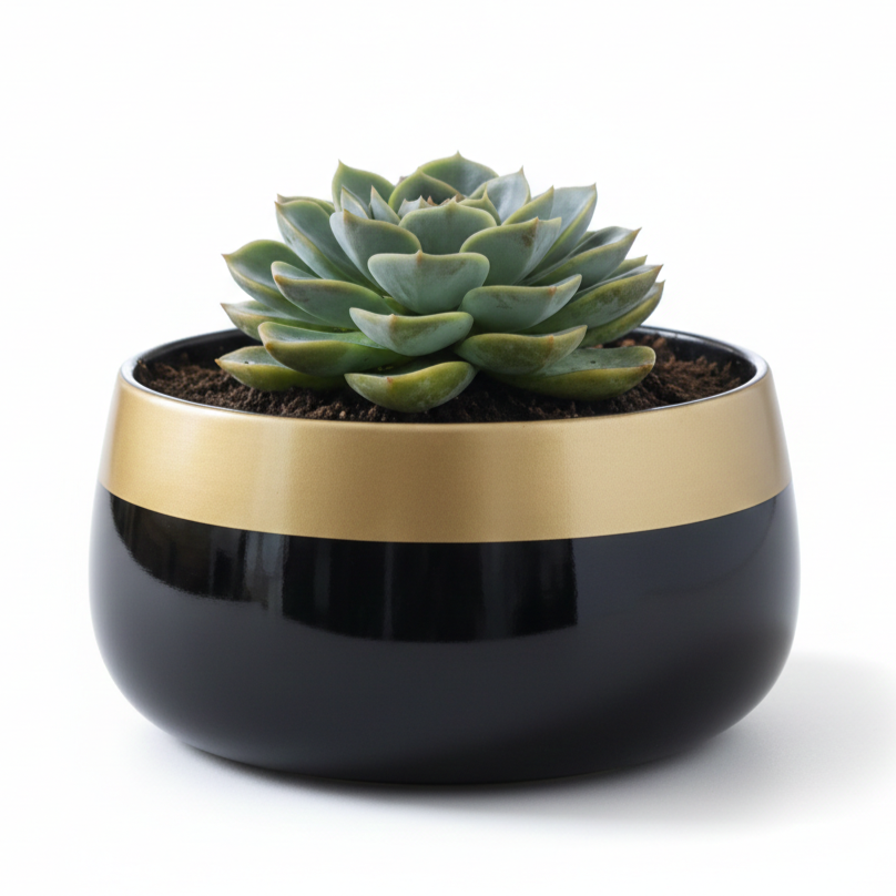 Wide Rim Round Stone-Finish Pot