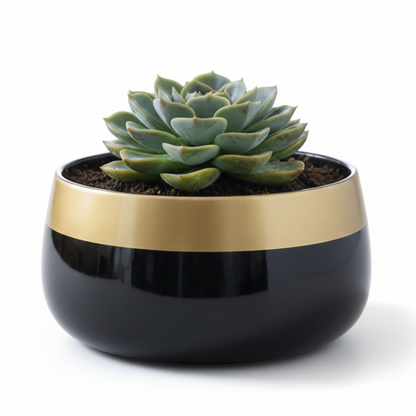 Wide Rim Round Stone-Finish Pot