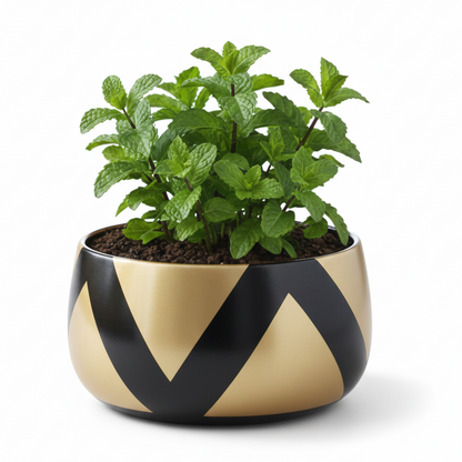 Wide Rim Round Stone-Finish Pot