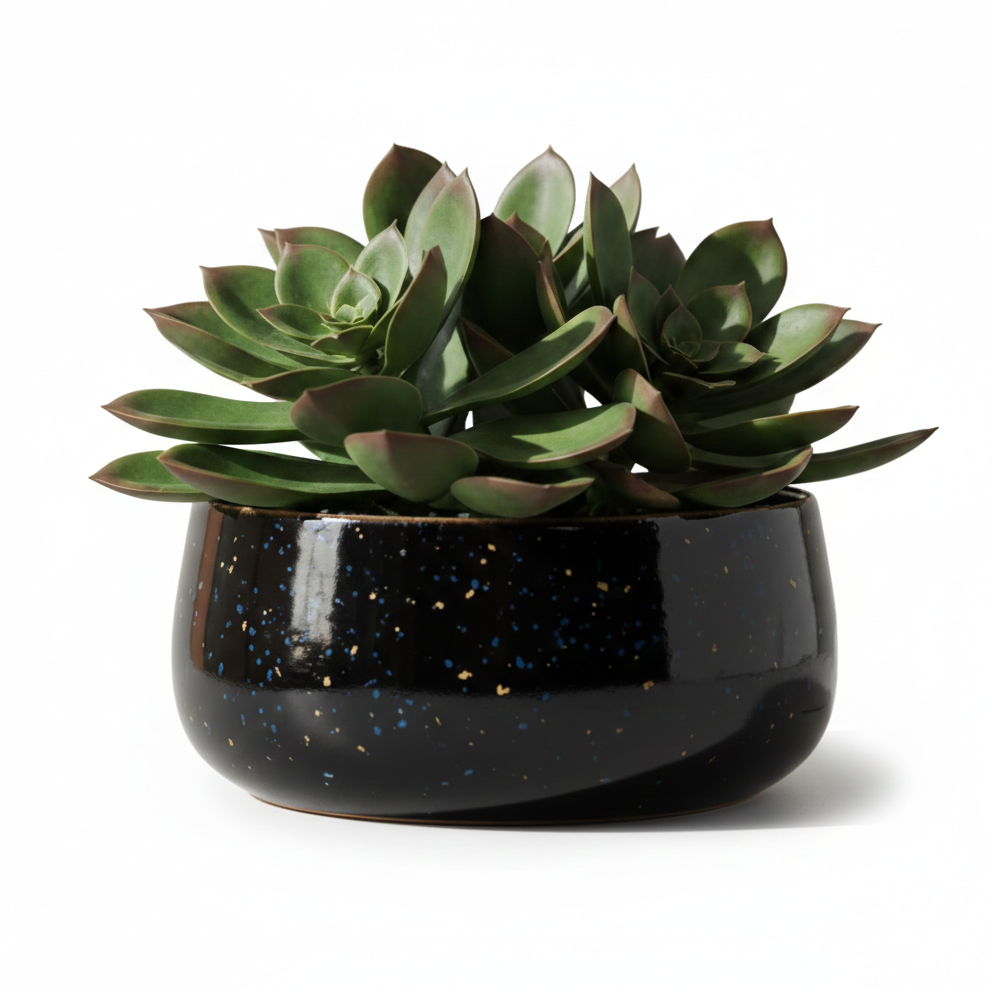 Wide Rim Round Stone-Finish Pot