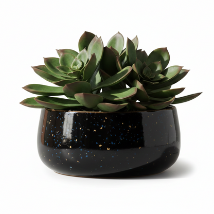 Wide Rim Round Stone-Finish Pot