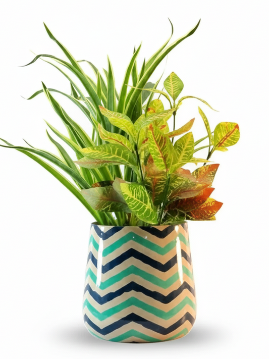 Potted plant with colorful zigzag patterned pot on a white background