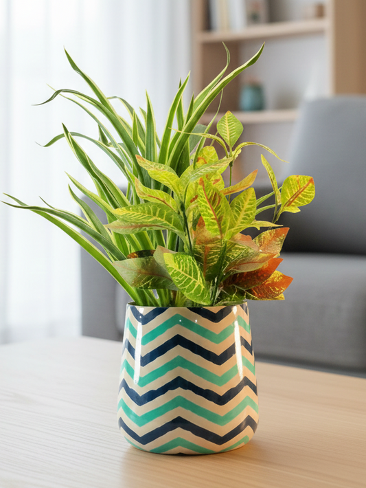 Potted plant in a zigzag patterned pot on a table