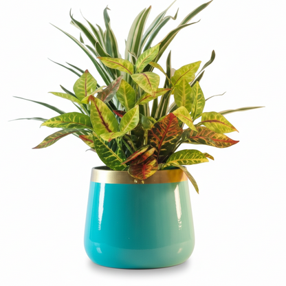 Round Metal Planter