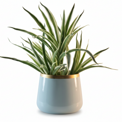 Round Metal Planter