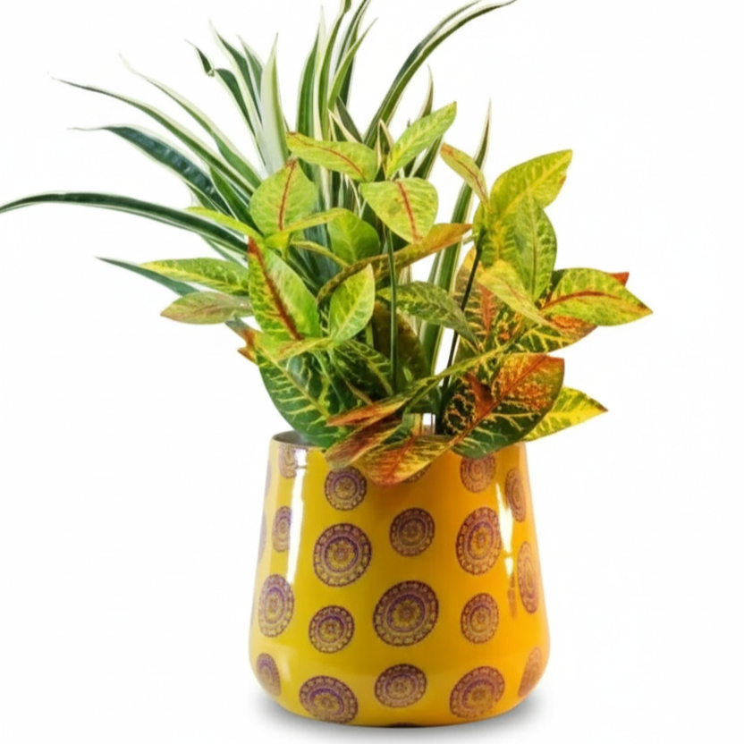 Round Metal Planter
