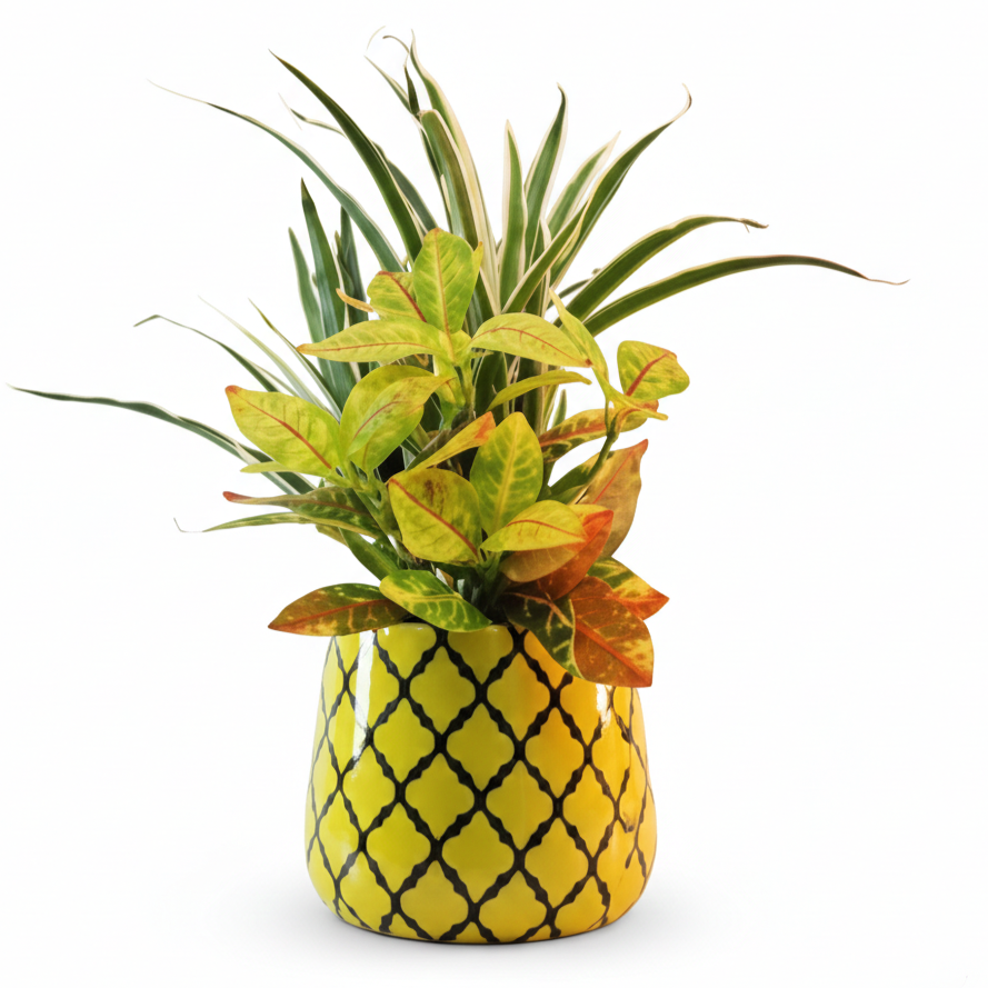 Round Metal Planter