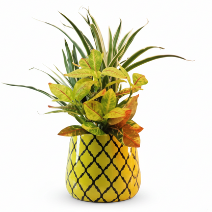 Round Metal Planter