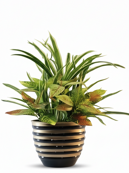 Striped Round Metal Planter – Glossy Finish