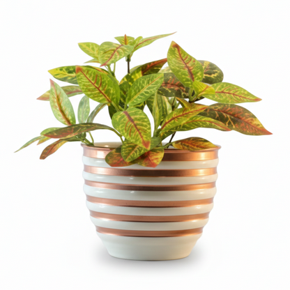Striped Round Metal Planter – Glossy Finish