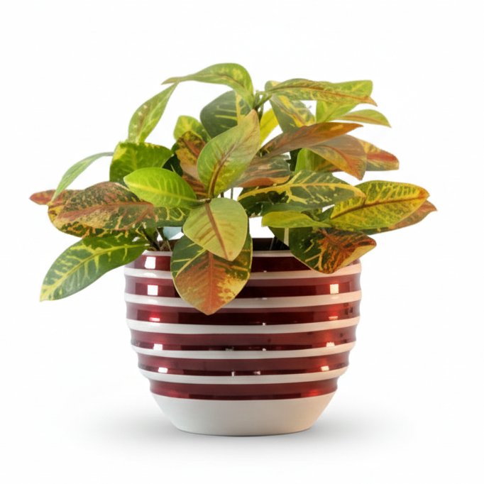 Striped Round Metal Planter – Glossy Finish